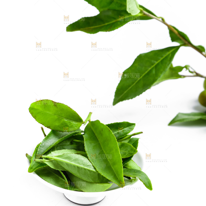 白底上摆放着茶叶子