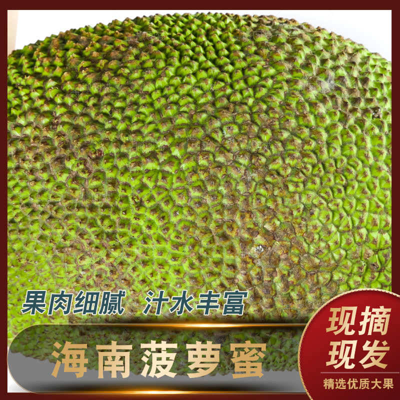 手里抱着新鲜菠萝蜜