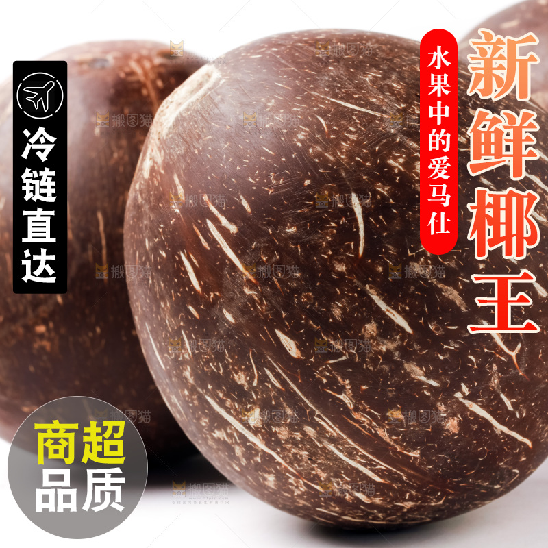 浅底上的椰皇