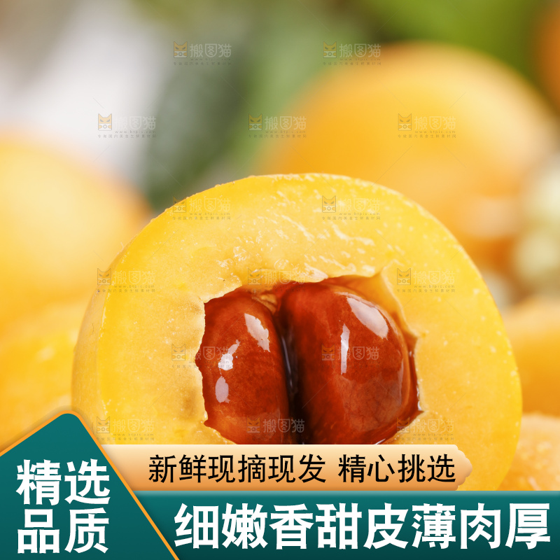 石板上的云南蒙自枇杷