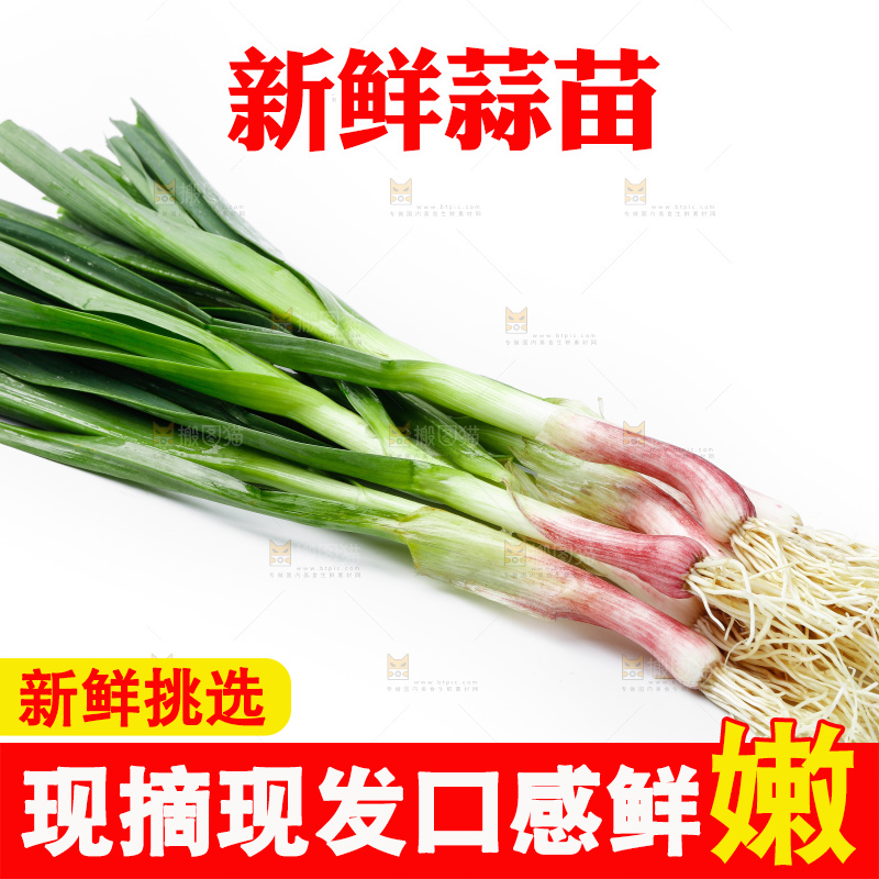 白底上的新鲜蒜苗