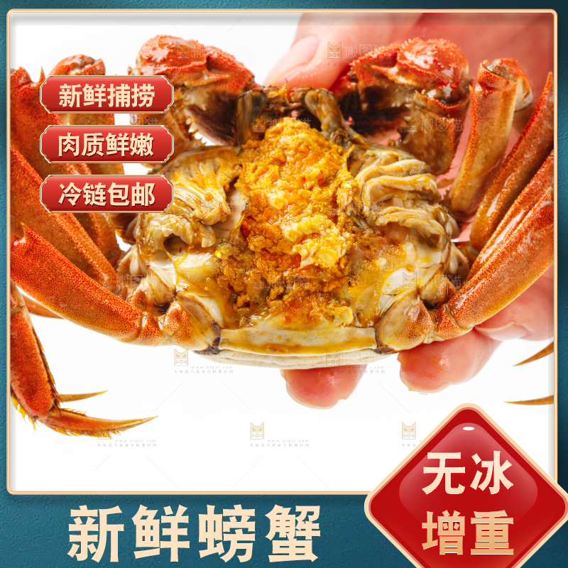 白底上的大闸蟹