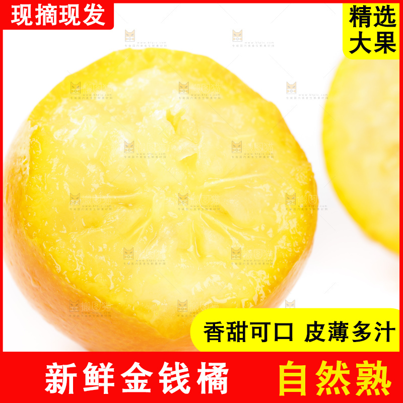白底上的金桔