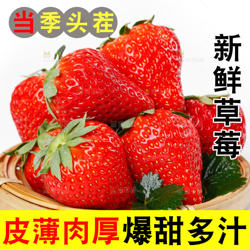 白底上一篮丹东99牛奶草莓