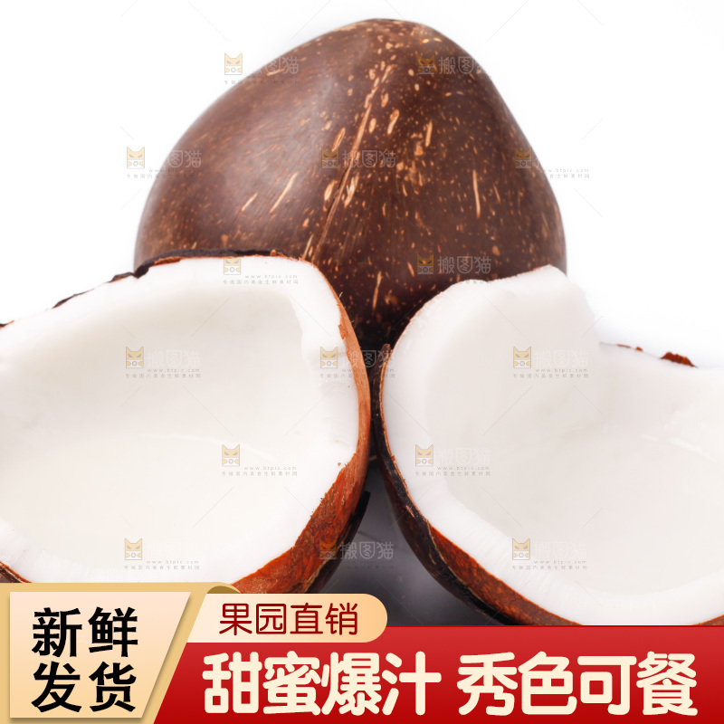 白底上放着椰王
