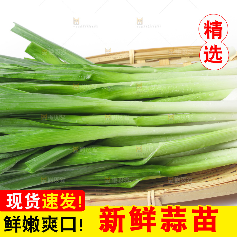 白底上放着蒜苗