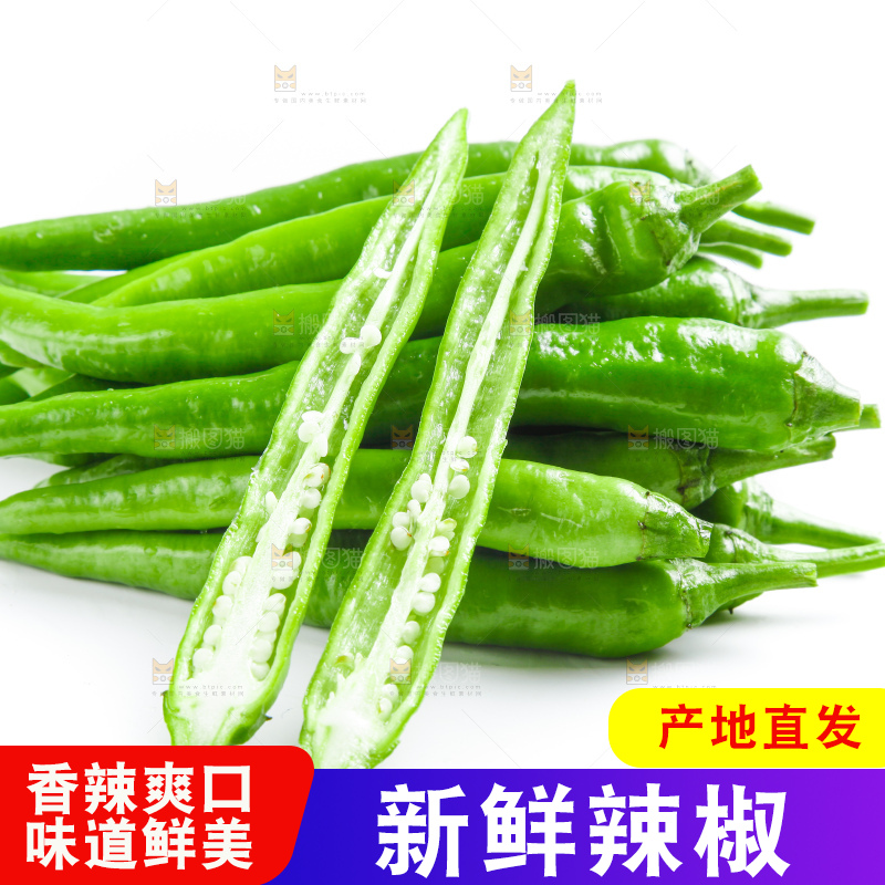 白底上摆放着新鲜杭椒