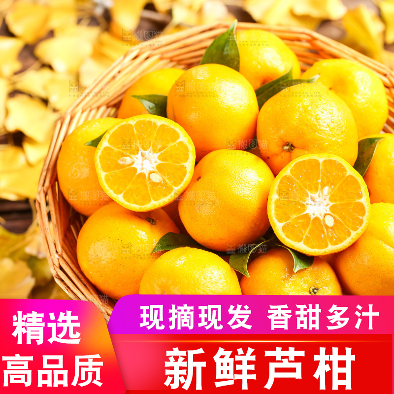 篮子里装着一篮椪柑
