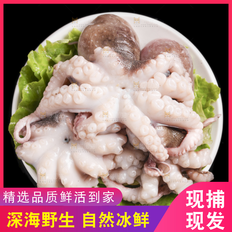 黑底上放着八爪鱼