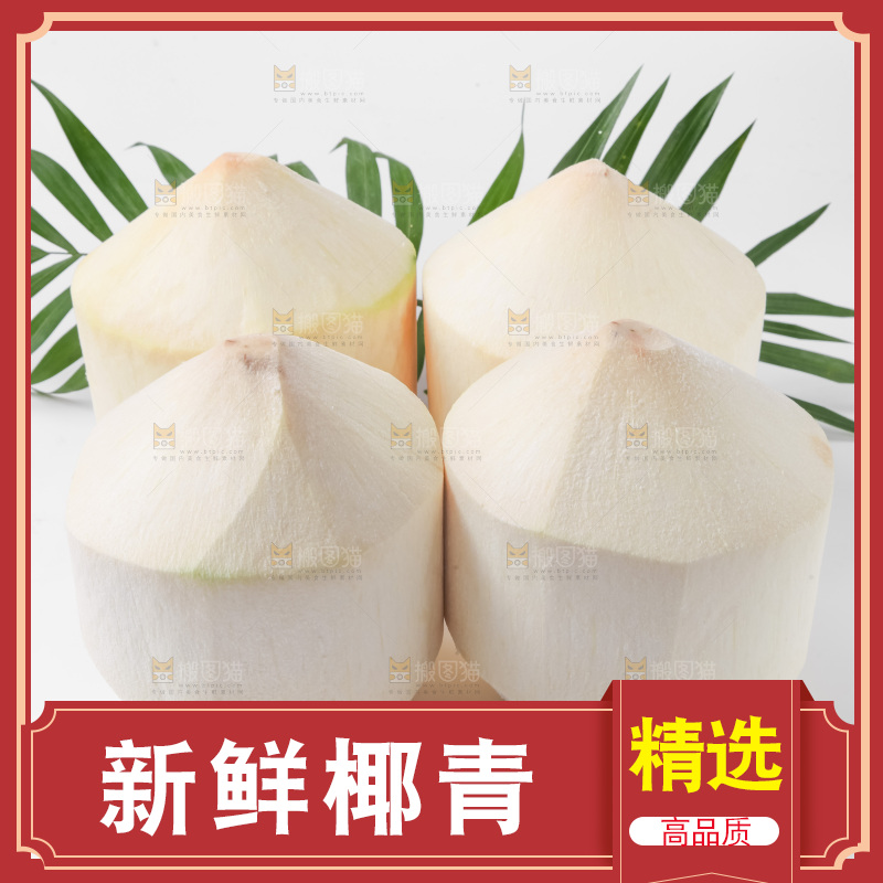 白底上放着青椰子