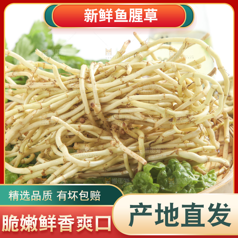 篮子里装着鱼腥草