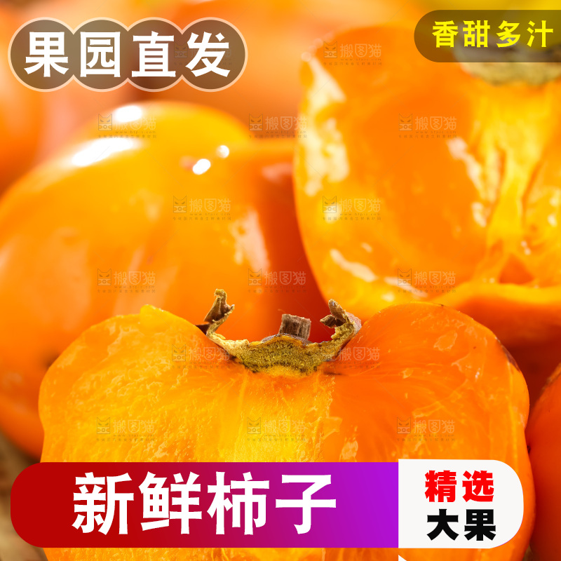 篮子里装着河北磨盘柿子