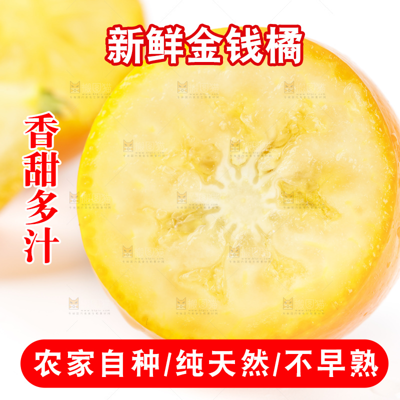 白底上的金桔