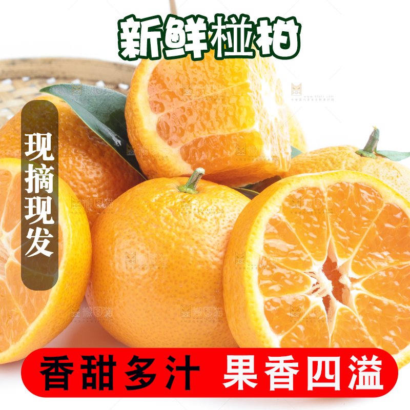 白底上放着四川椪柑