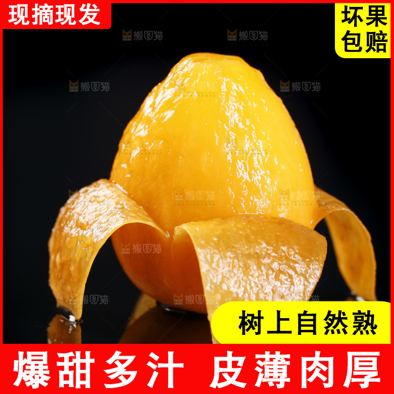 黑底上的米易枇杷