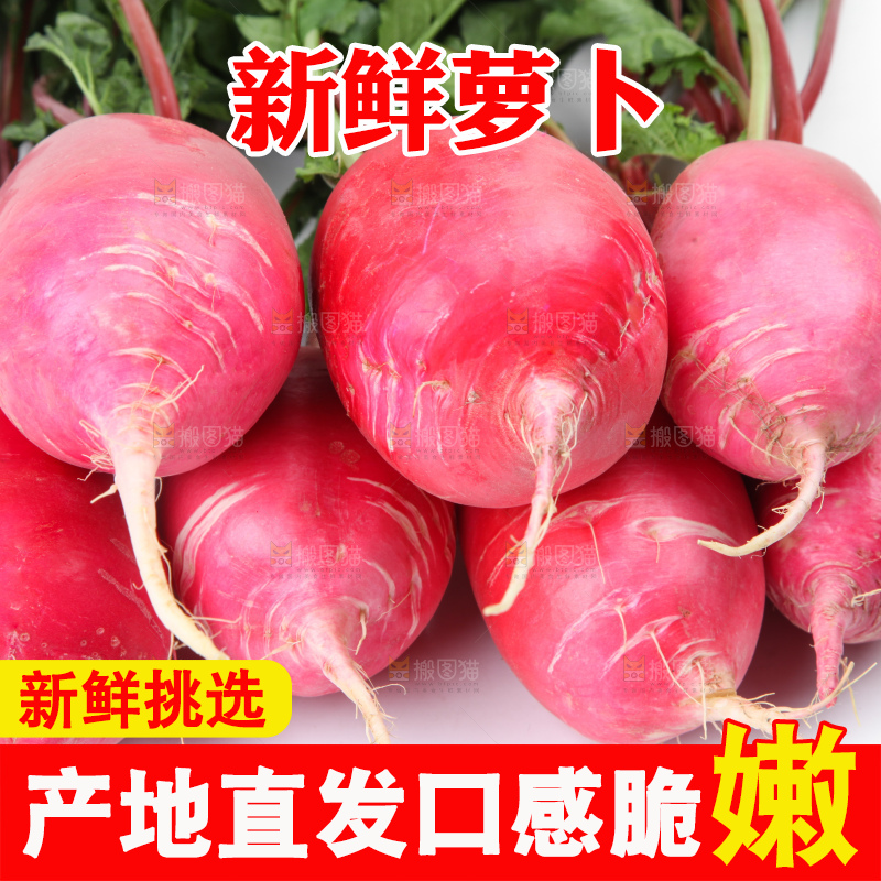 白底上的红萝卜
