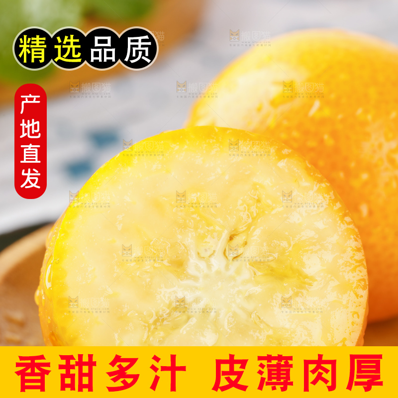 黑石板上的广西金钱橘