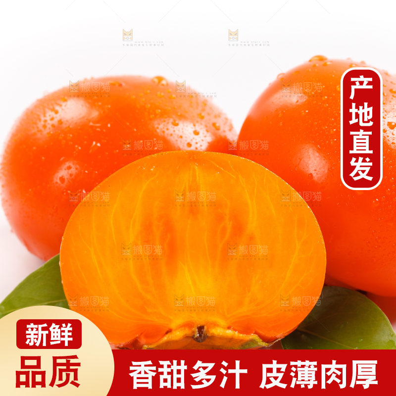 浅底上的大柿子