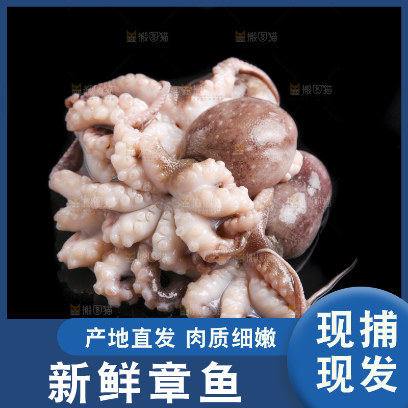 黑底上的八爪鱼