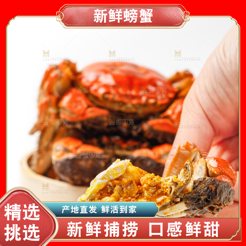 白底上的清蒸螃蟹