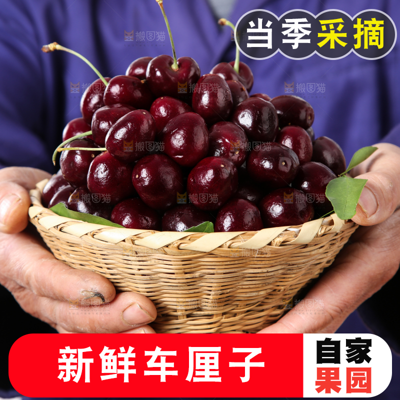 手里捧着一篮子车厘子