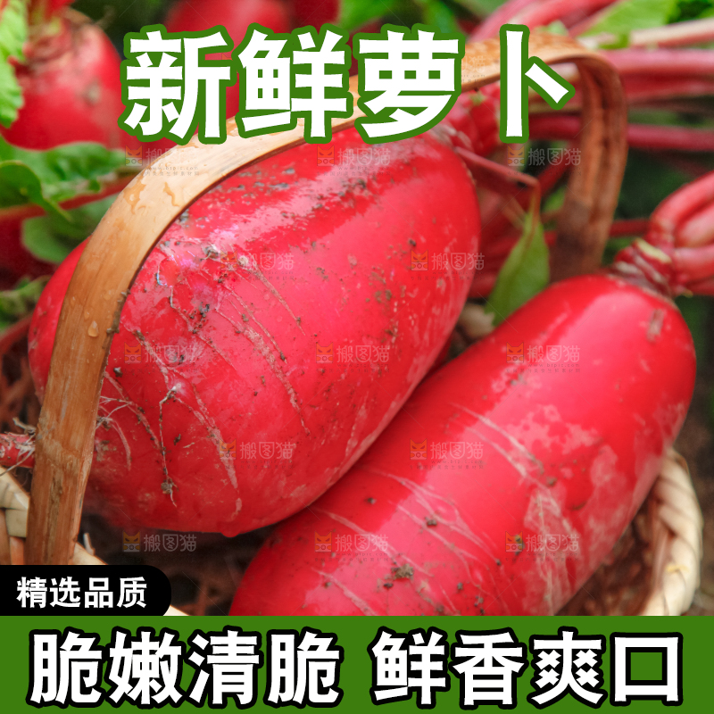 篮子里装着红萝卜
