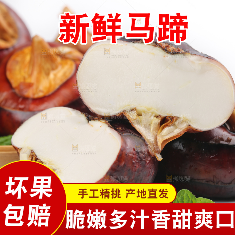 篮子里装着北乡马蹄