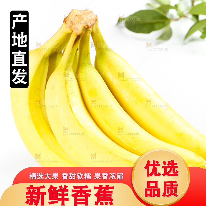 白底上摆放着高山甜香蕉