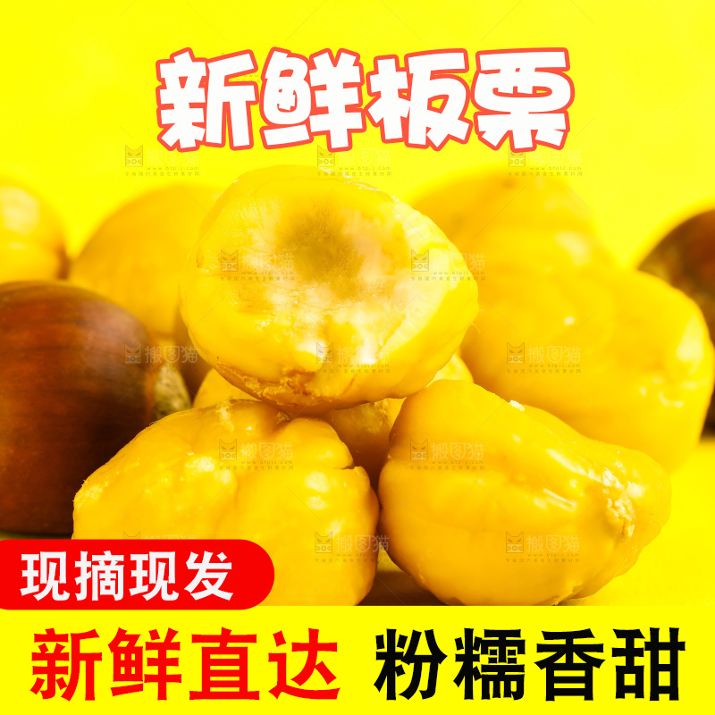 黄底上的迁西板栗