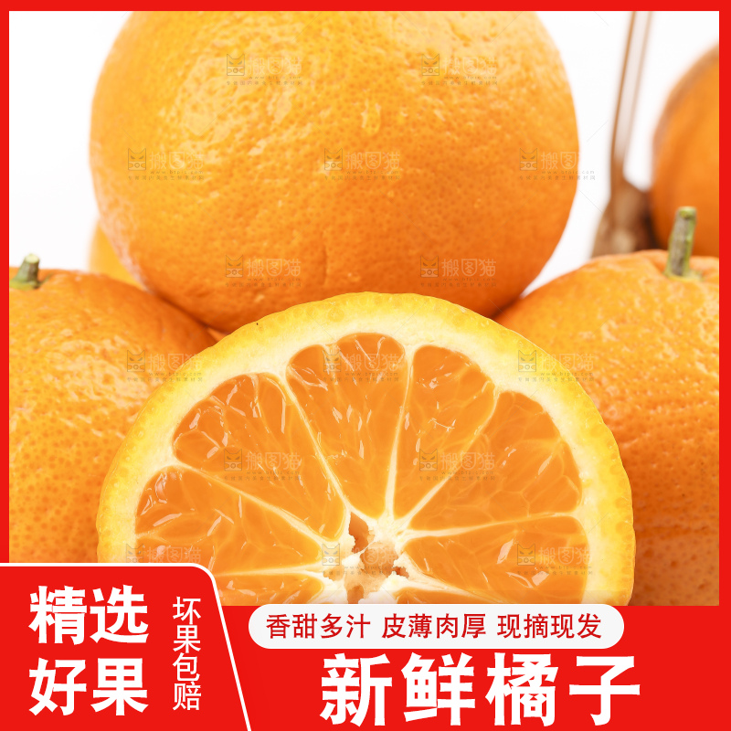 白底上的椪柑橘