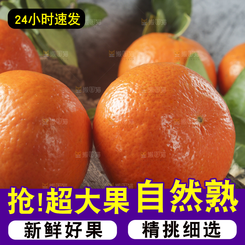 木板上放着沃柑