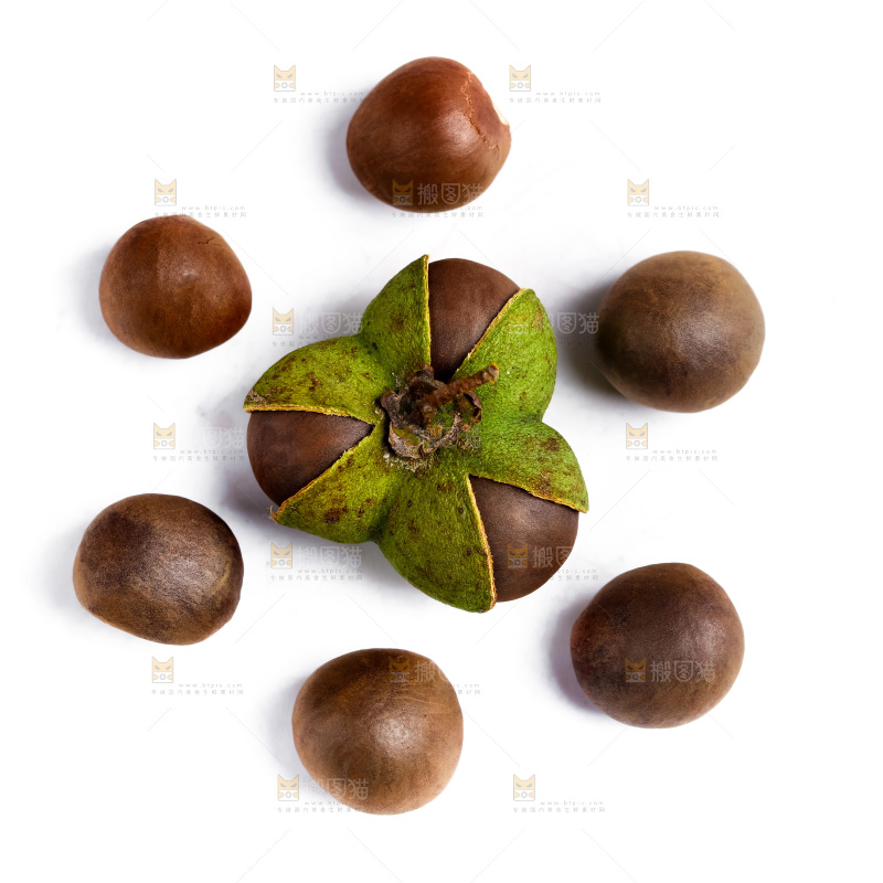 白底上摆放着茶树果