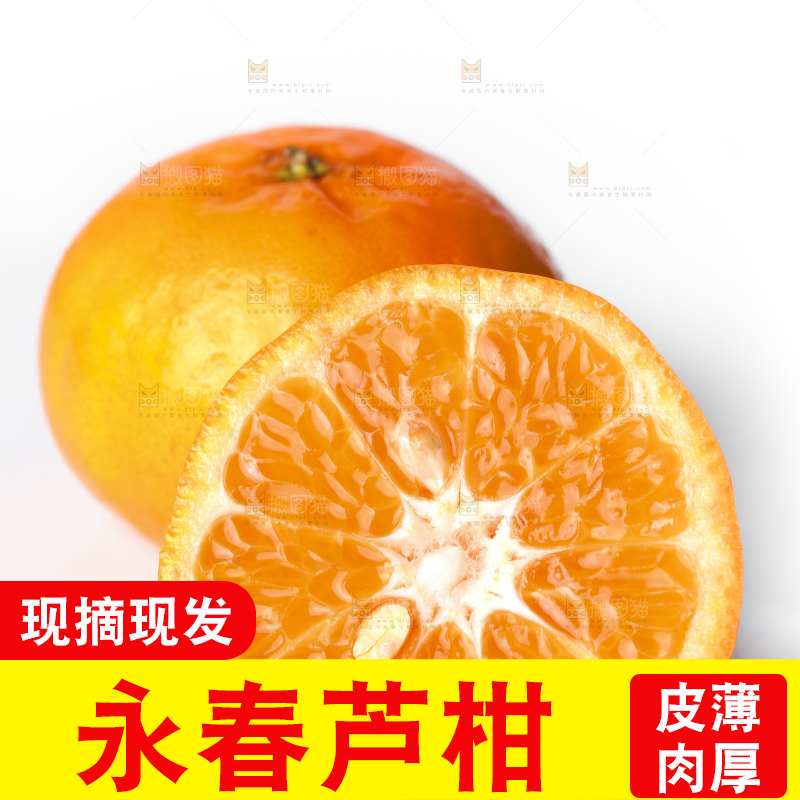 白底上的芦柑
