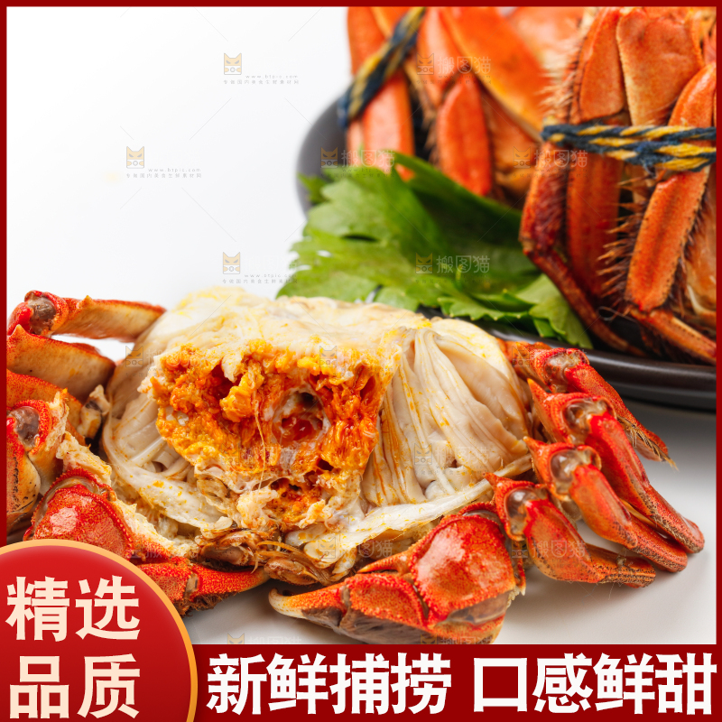 白底上的大闸蟹