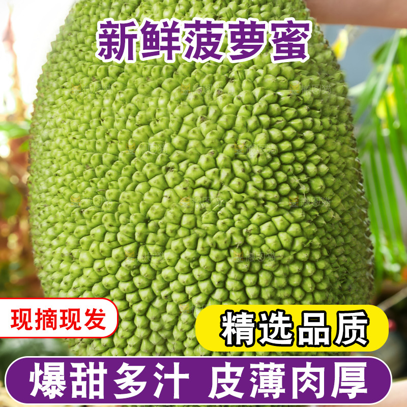 浅底上的泰国红心菠萝蜜