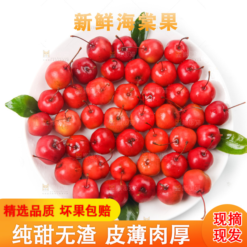 白底上放着东北海棠果
