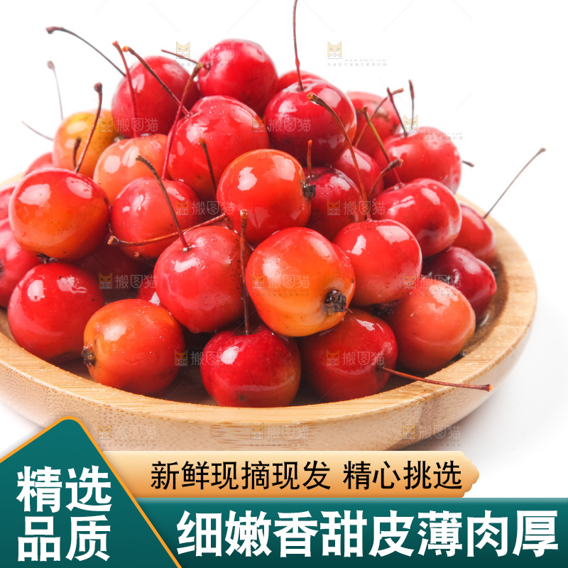 白底上放着东北海棠果