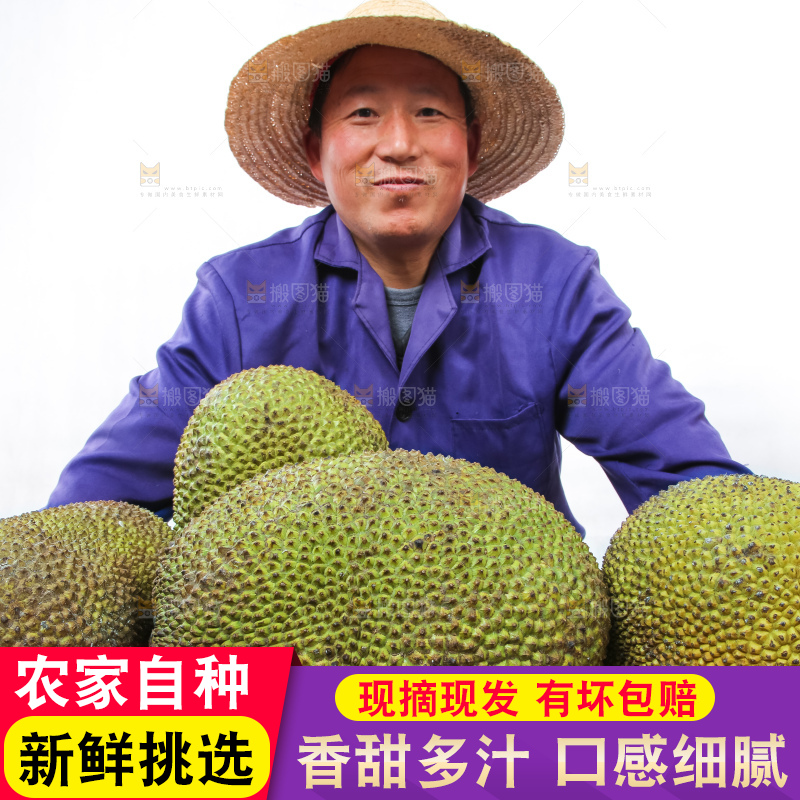 农民手里拿着菠萝蜜