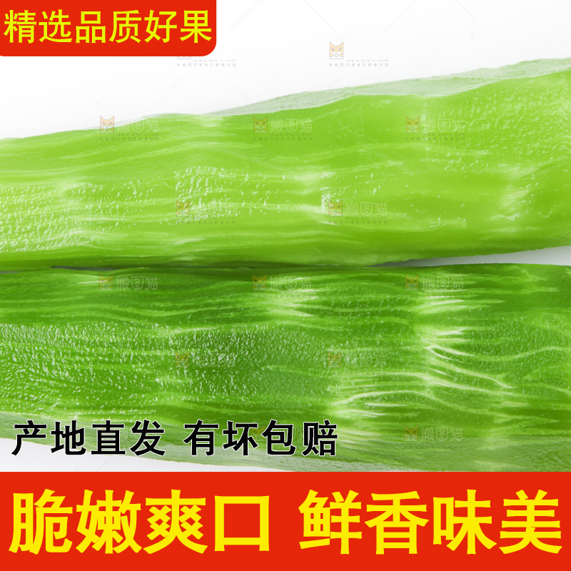 白底上摆放着莴苣
