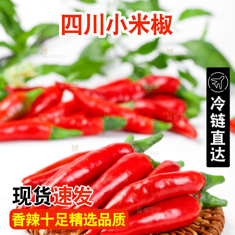 白底上摆放着广西小米椒