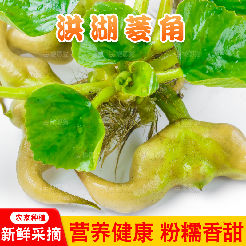 浅底上的新鲜菱角