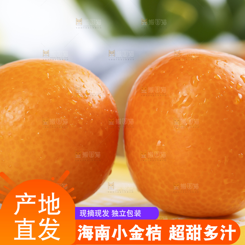 浅底上摆放着金桔