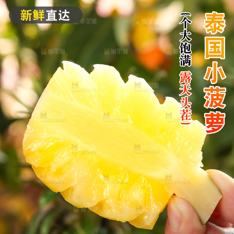 手里拿着新鲜小菠萝