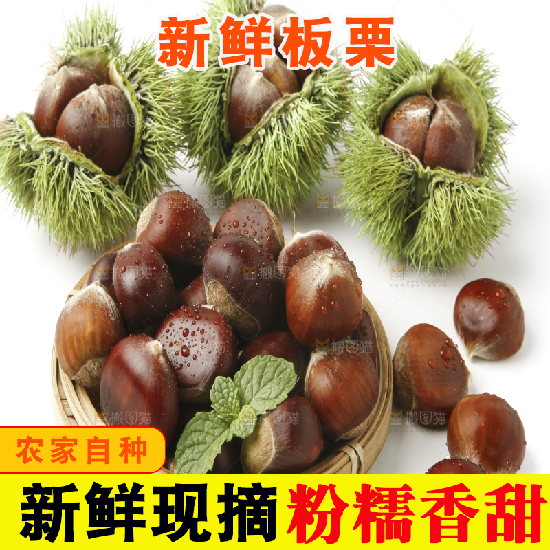 白底上放着生板栗