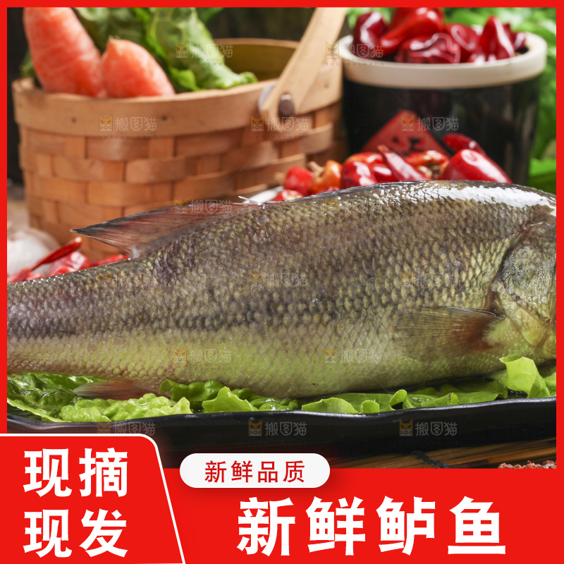 盘子里装着鲈鱼