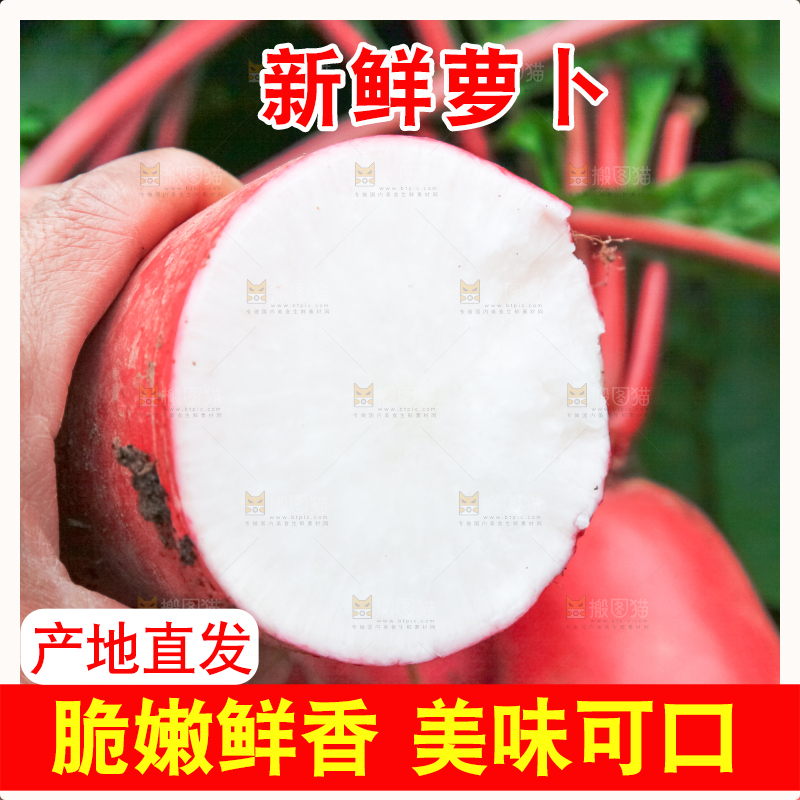 手里拿着红萝卜