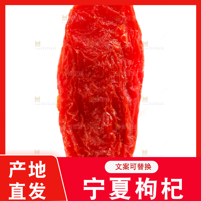 浅底上的宁夏枸杞
