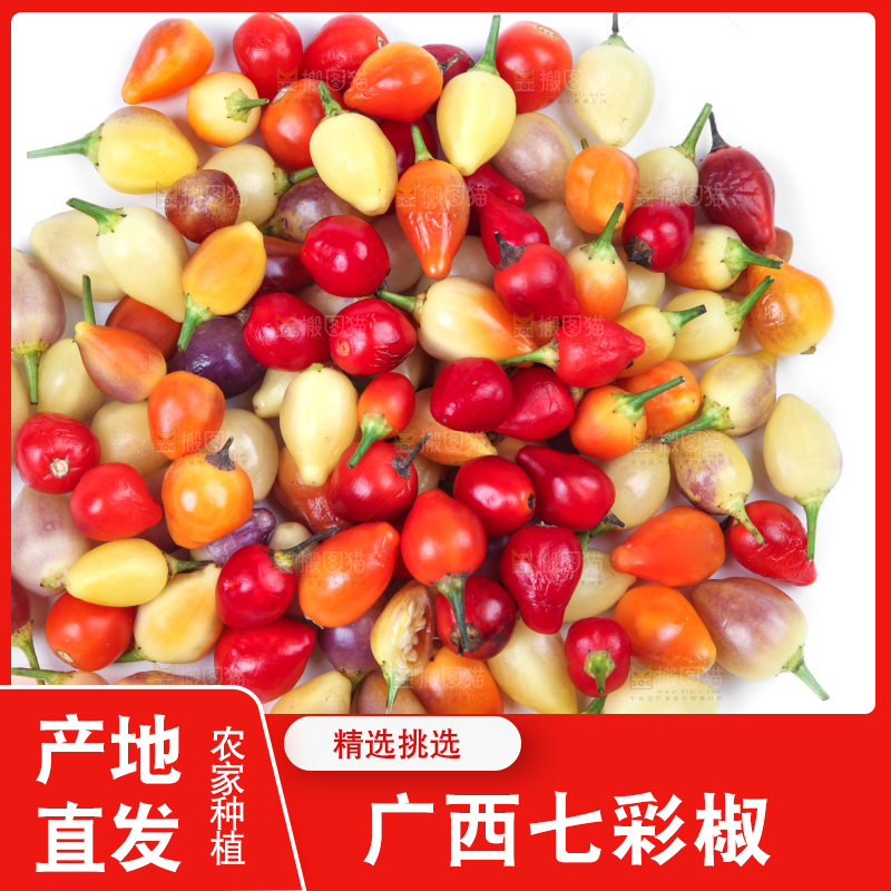 白底上的七彩椒