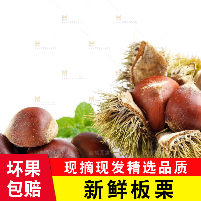 白底上放着生板栗