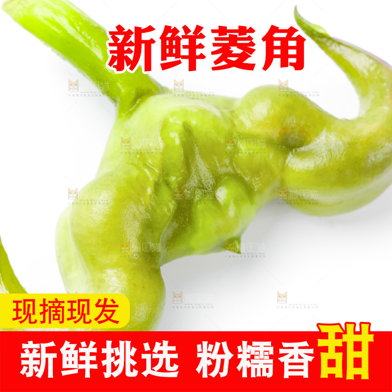 浅底上的新鲜菱角